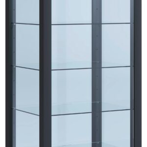 Wohnli Möbelsuche - Vitrine Kavisa Schwarz