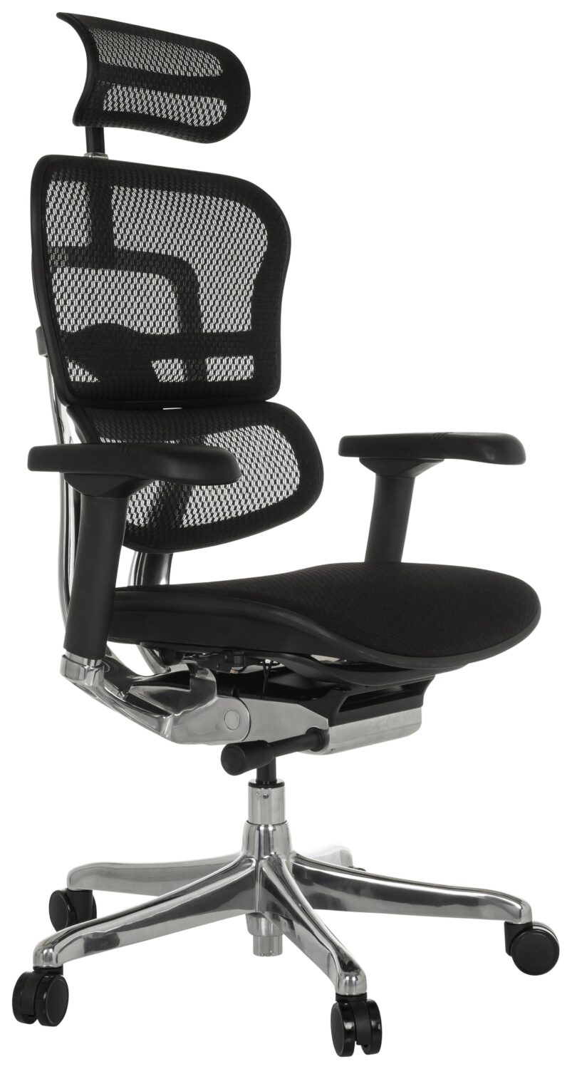 Wohnli Möbelsuche - Drehstuhl Ergohuman Gen2 Schwarz