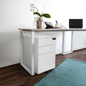 Rollcontainer 'Color Os I' COLOR OS I Kunststoff MID.YOU Möbel > Schränke > Büroschrank > Rollcontainer Weiß