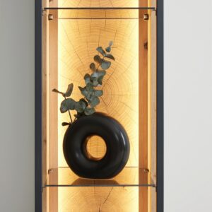 wohnli-moebel-suche-002412009603-1 Hängevitrine Florenz Schwarz/Eiche Artisan Metall, Holzwerkstoff Premium Living Möbel > Kommoden & Schubladenschränke > Hängeelemente Schwarz
