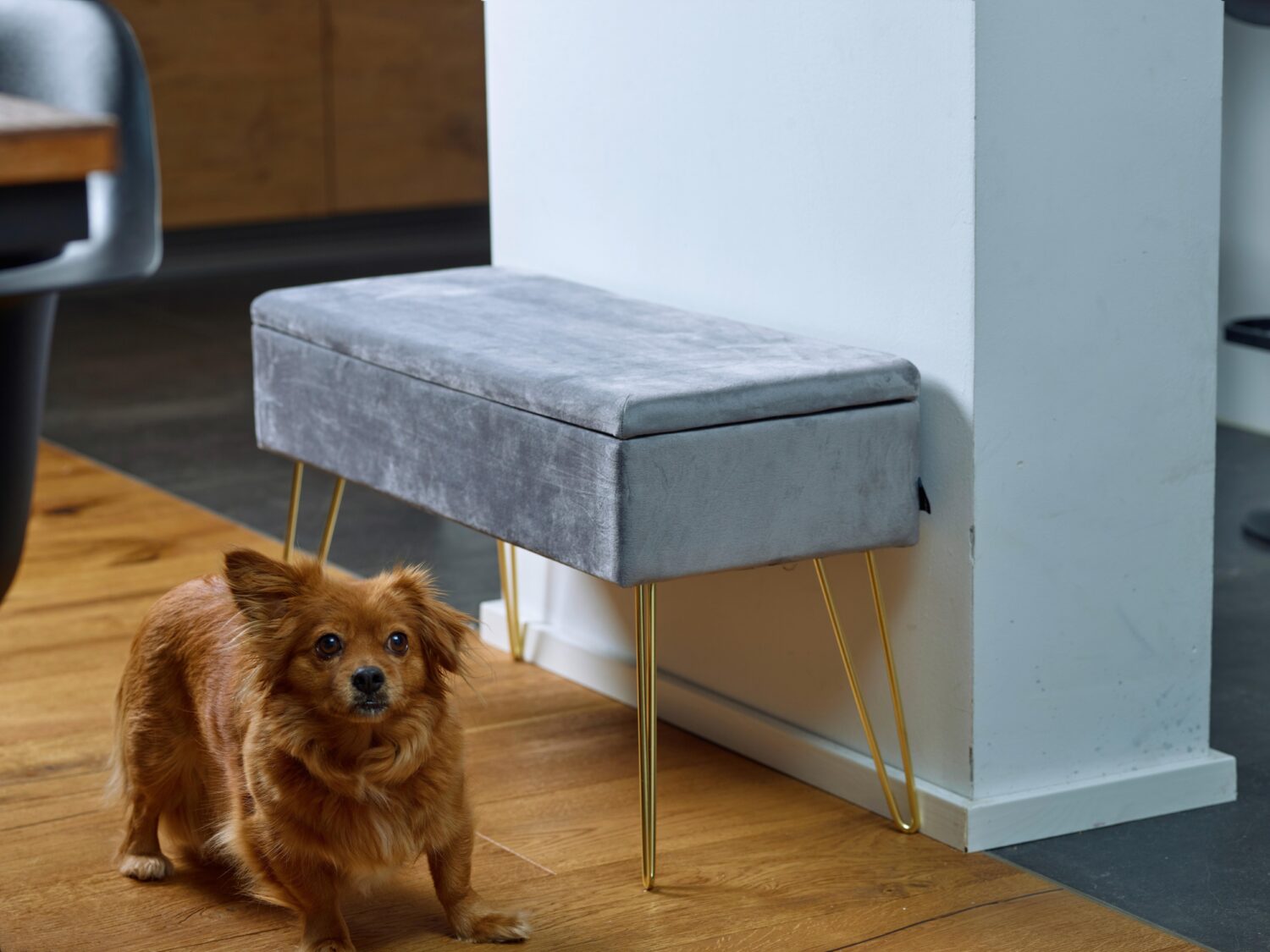 Hockerbank Scarlett Vlies Grau H: 42 cm inkl. Stauraum Textil Echtwerk Möbel > Bänke Grau