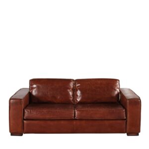 Wohnli Möbelsuche - 3-Sitzer-Schlafsofa mit Lederbezug