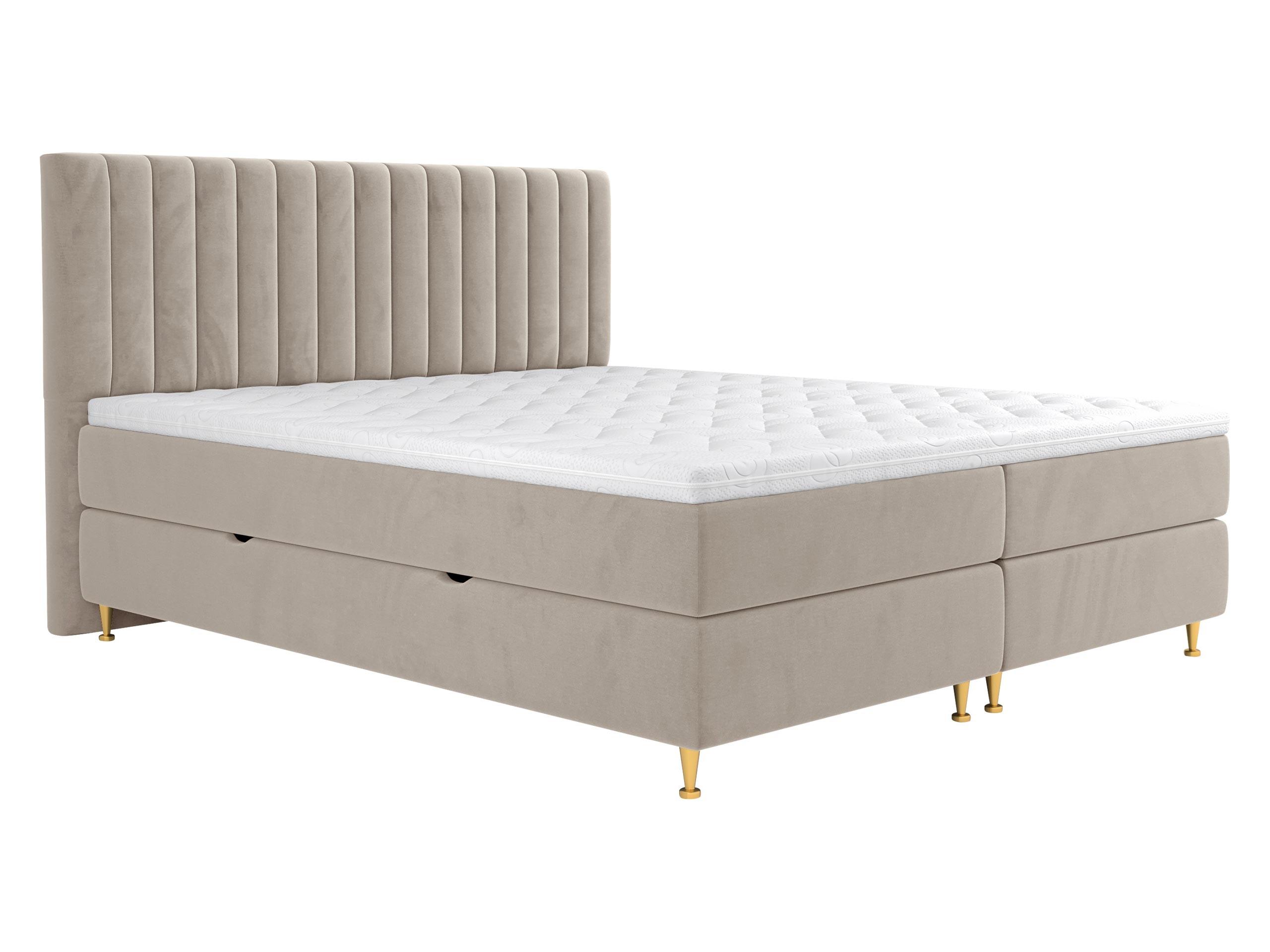 wohnli-moebel-suche-800000683761 Wohnli Möbelsuche - BOXBETT Elegance - H3