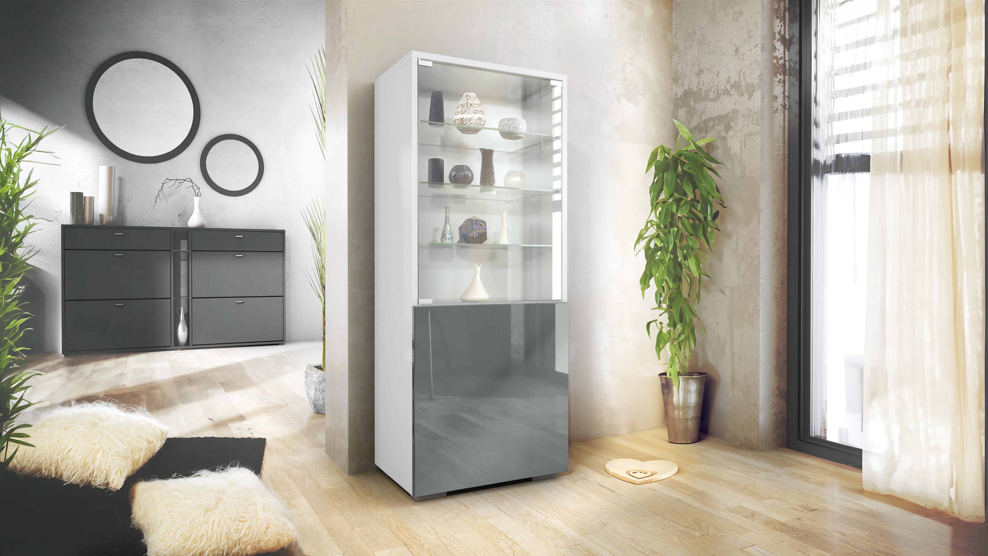 wohnli-moebel-suche-800000686904-1 VITRINE Granada Grau Hochglanz Holzwerkstoff Vladon Möbel > Schränke > Vitrinen Grau