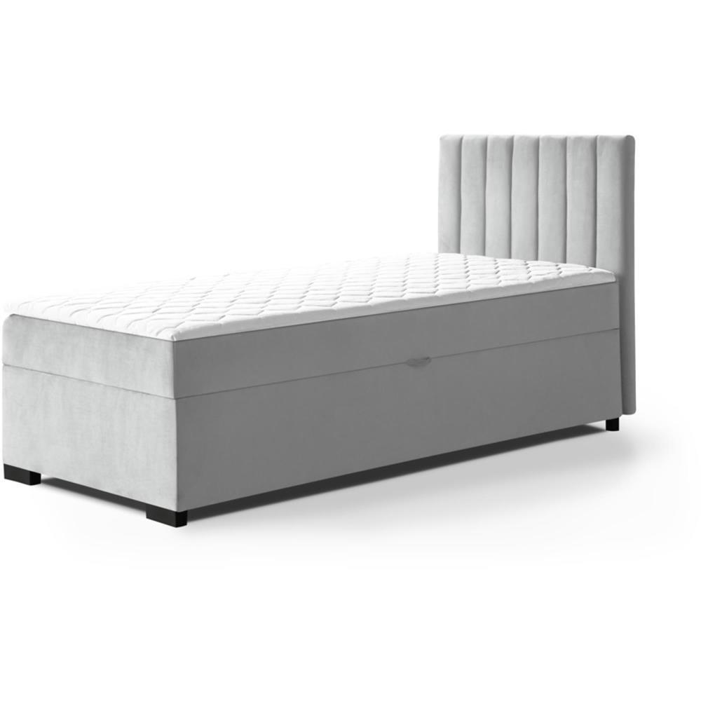 Wohnli Möbelsuche - POLSTERBETT Eric 94/207/105 grau
