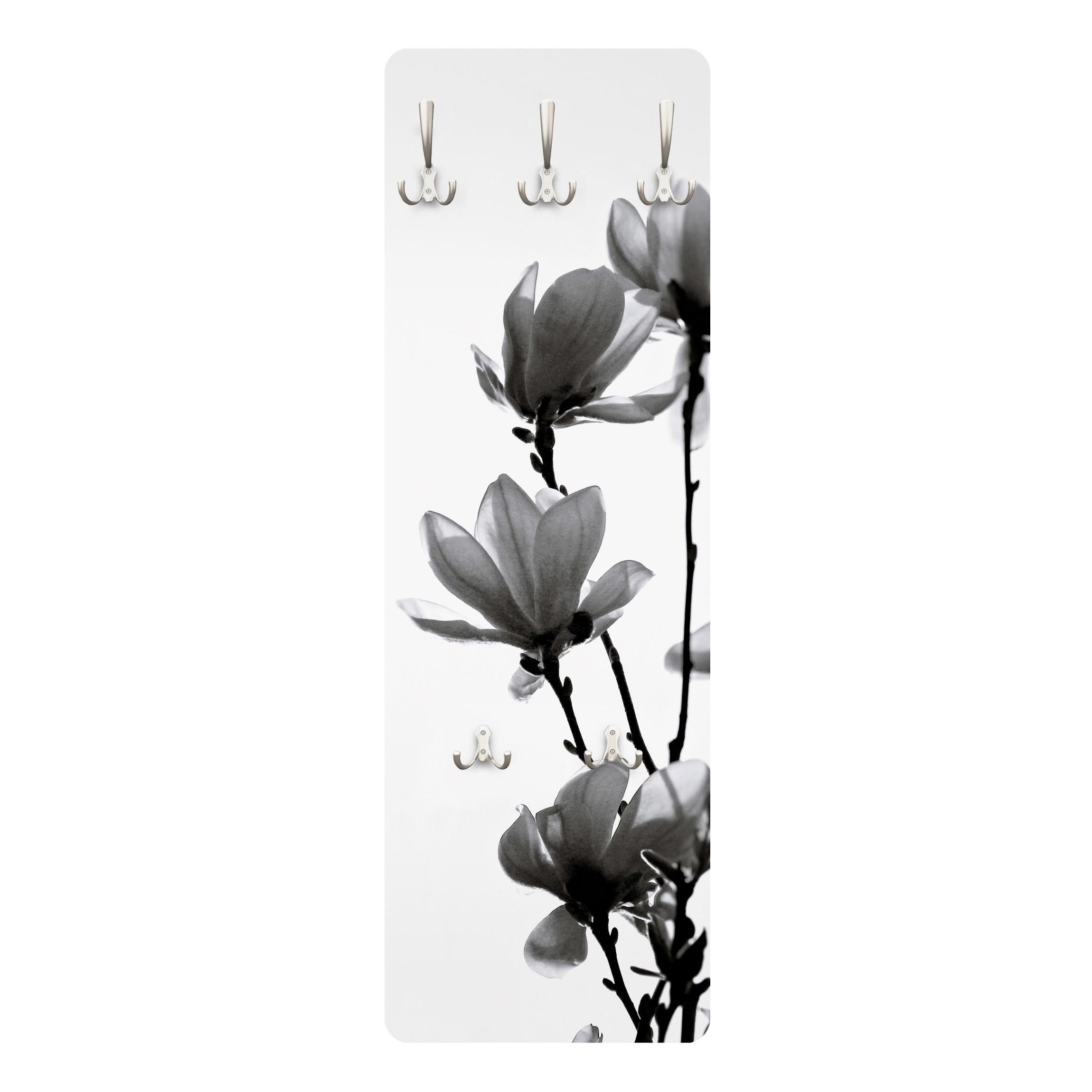 Wohnli Möbelsuche - WANDGARDEROBE - Frühlingsbote Magnolie Schwarz