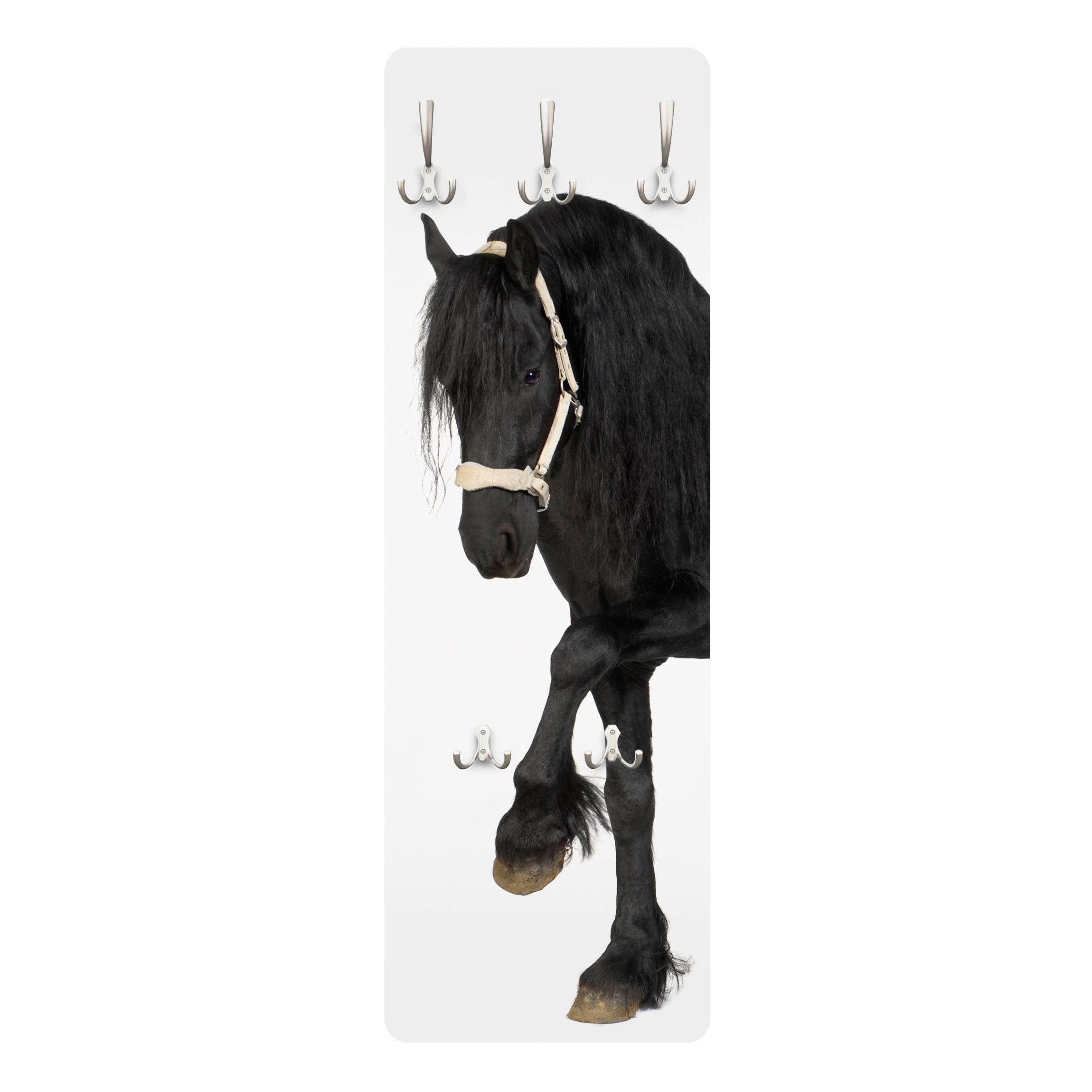 Wohnli Möbelsuche - WANDGARDEROBE - Friesenstute 34/105 cm