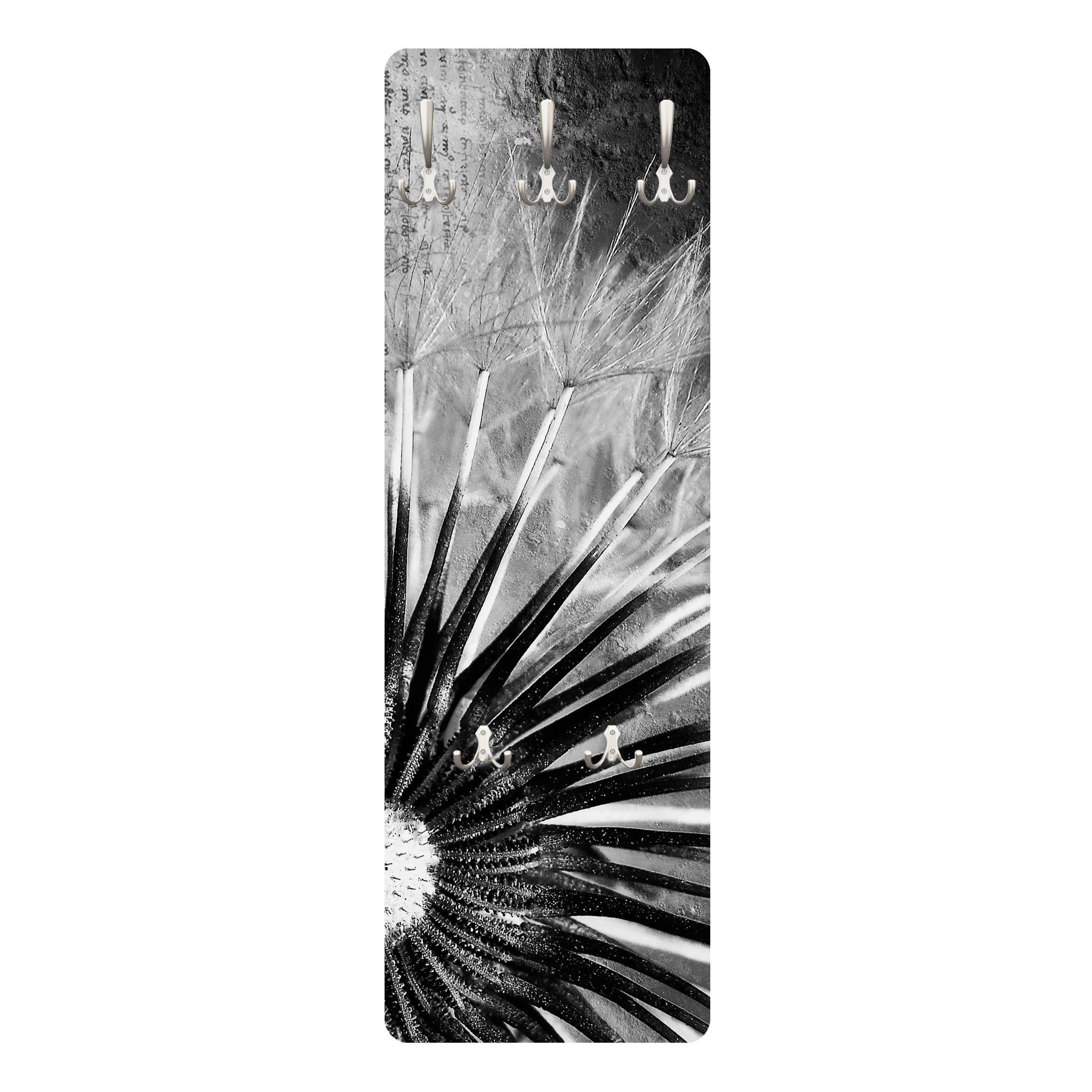 wohnli-moebel-suche-800000846931 Wohnli Möbelsuche - WANDGARDEROBE - Pusteblume Schwarz