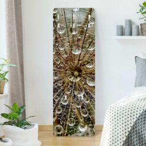 wohnli-moebel-suche-800000846958-1 WANDGARDEROBE - Pusteblume im Herbst 34/105 cm Holzwerkstoff Bilderwelten Garderoben > Garderobenhaken Beige