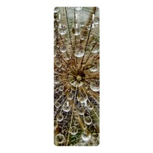 wohnli-moebel-suche-800000846958 Wohnli Möbelsuche - WANDGARDEROBE - Pusteblume im Herbst 34/105 cm