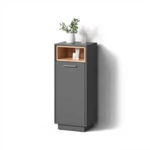 wohnli-moebel-suche-800000883238 Wohnli Möbelsuche - MIDISCHRANK Temo Anthrazit 30 x 93 cm