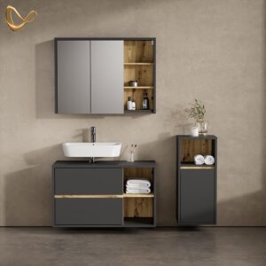 wohnli-moebel-suche-800000903021-1 MIDISCHRANK Vomano Anthrazit 38 x 80 cm Holzwerkstoff Livinity® Möbel > Schränke > Badezimmerschränke Anthrazit