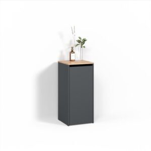 wohnli-moebel-suche-800001107401 Wohnli Möbelsuche - BADSCHRANK Paolina Anthrazit/Goldkraft Eiche 40.2 x 88.2 cm mit Wäschkorb