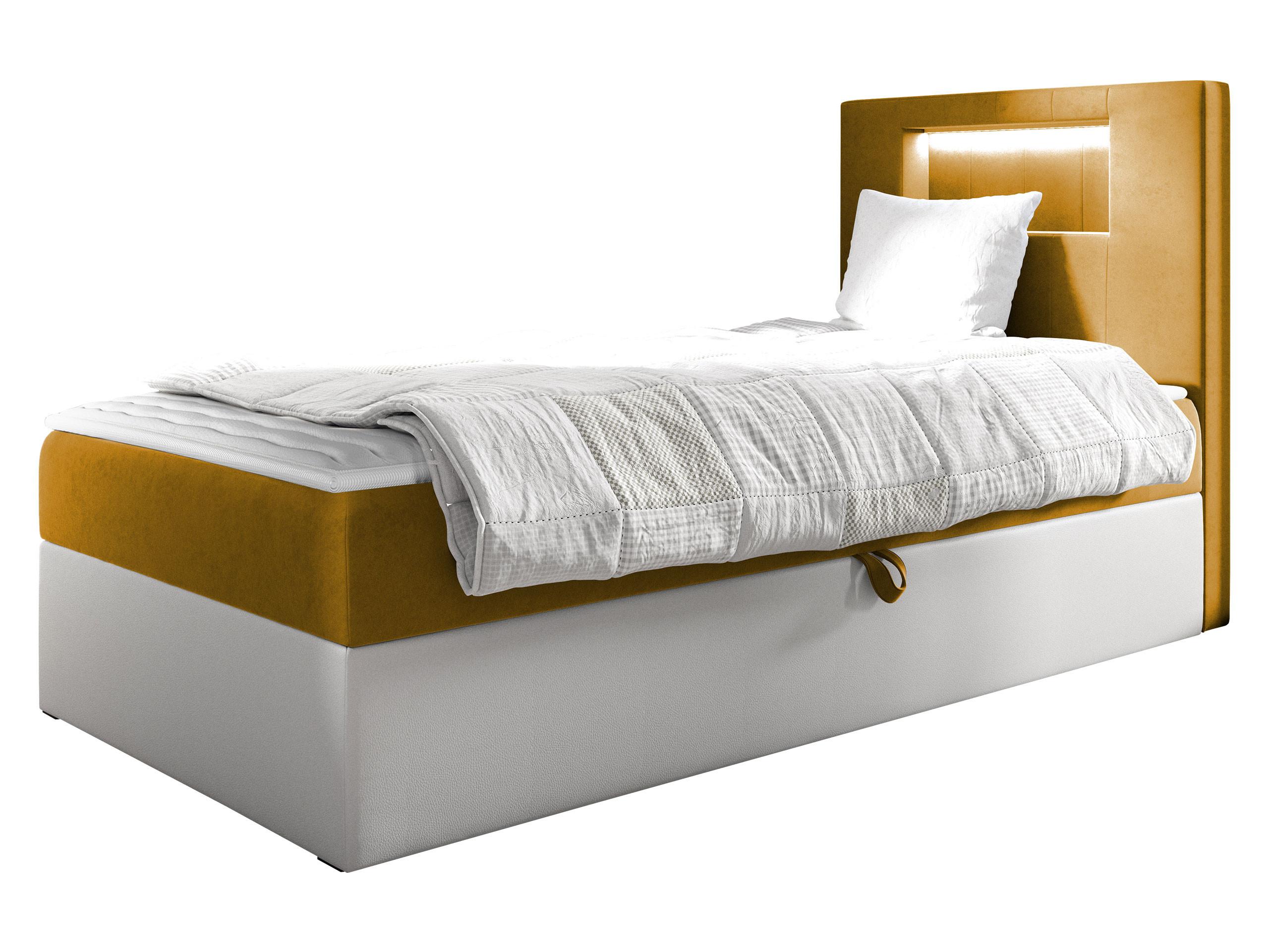 wohnli-moebel-suche-800001163660 Wohnli Möbelsuche - BOXBETT Gold Junior 1