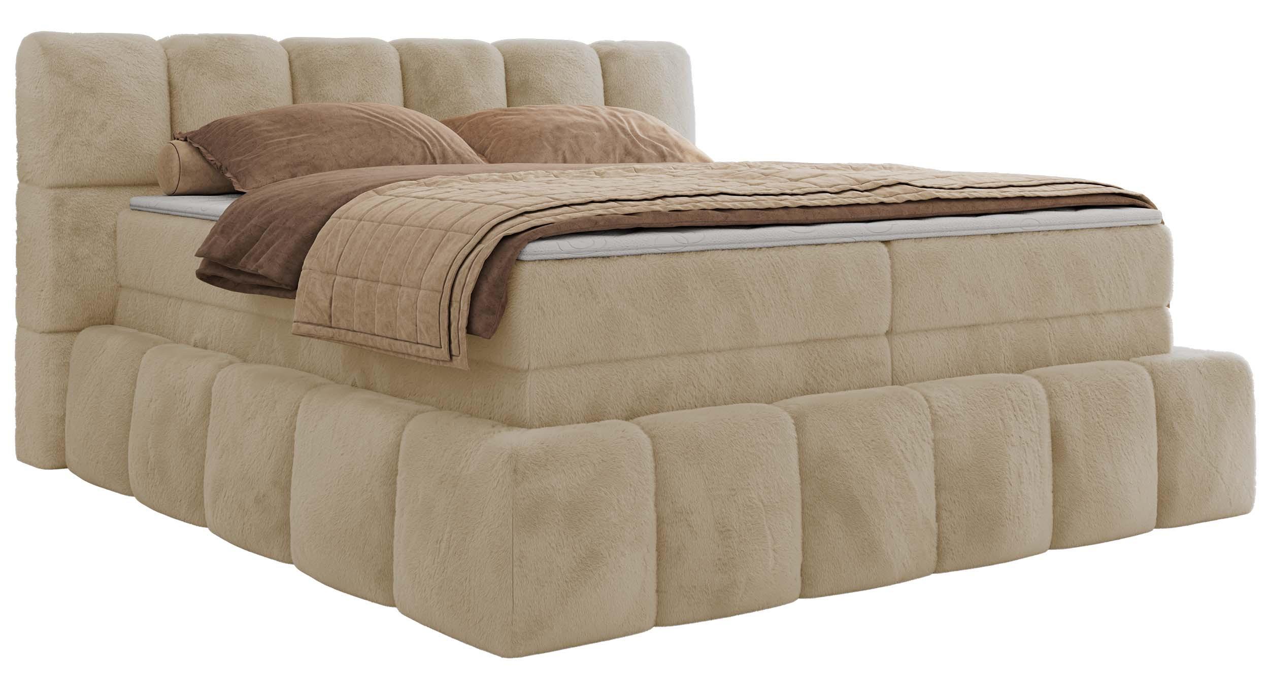 Wohnli Möbelsuche - BOXSPRINGBETT NIRA KING 200/200 Creme Plüsch - H3