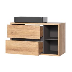 wohnli-moebel-suche-800001248379-1 WASCHTISCH 100cm Rigel Holz und Anthrazit Holzwerkstoff Petits-meubles Möbel > Schränke > Badezimmerschränke > Waschtische Braun