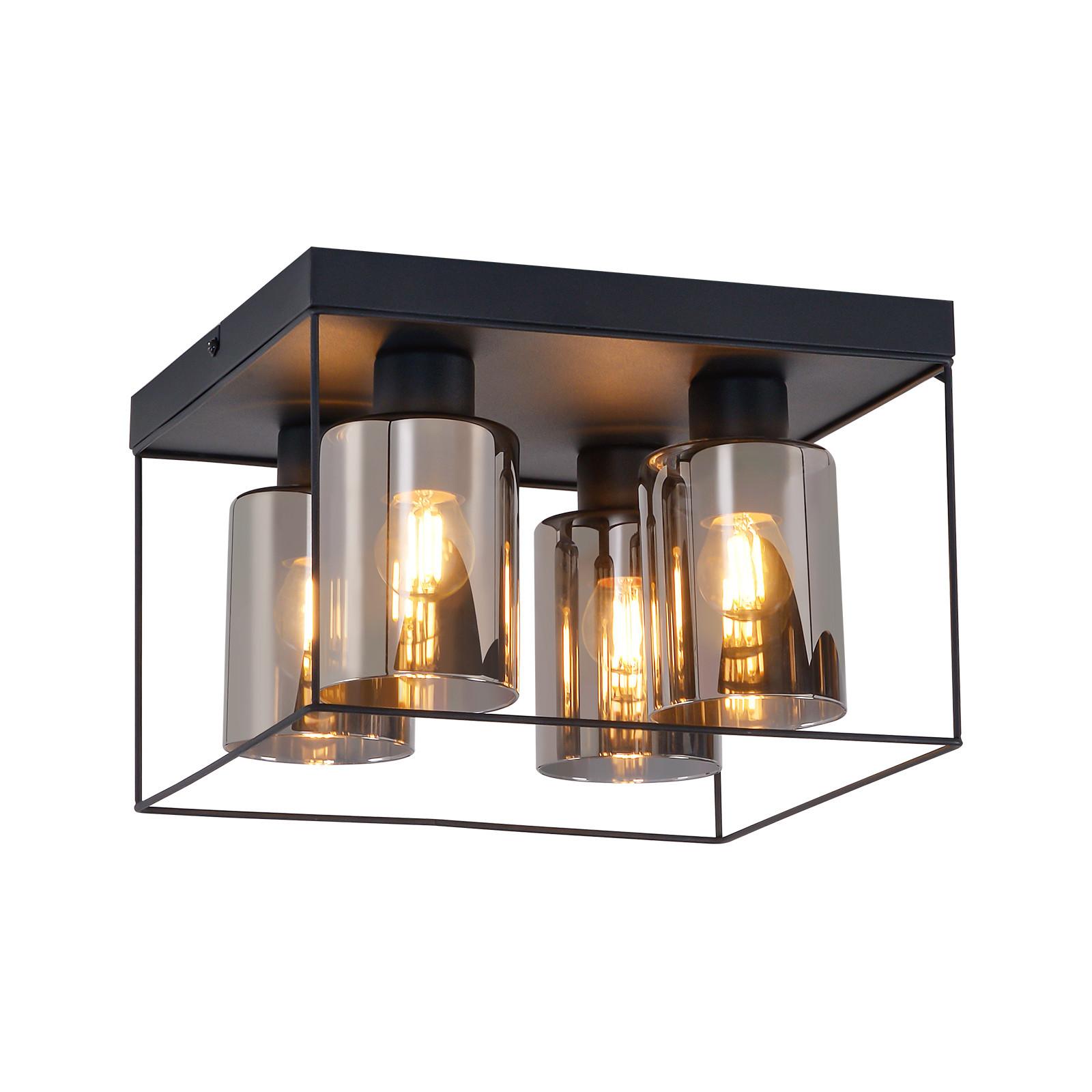 Wohnli Möbelsuche - LED-DECKENLEUCHTE Falkengrimm 30.0/20.0/30.0 cm Deckenlampe