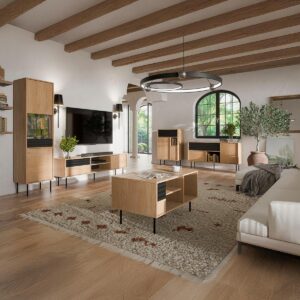 VITRINE Astra Holz und Schwarz Holzwerkstoff Petits-meubles Möbel > Schränke > Vitrinen Schwarz