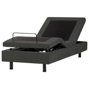 wohnli-moebel-suche-800001649318 Wohnli Möbelsuche - POLSTERBETT Verstellbar 80/200 cm Dunkelgrau Duke II