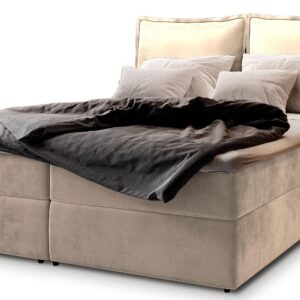 Wohnli Möbelsuche - BOXBETT LENTE 160x200 cm mit Matratze und Topper - Creme