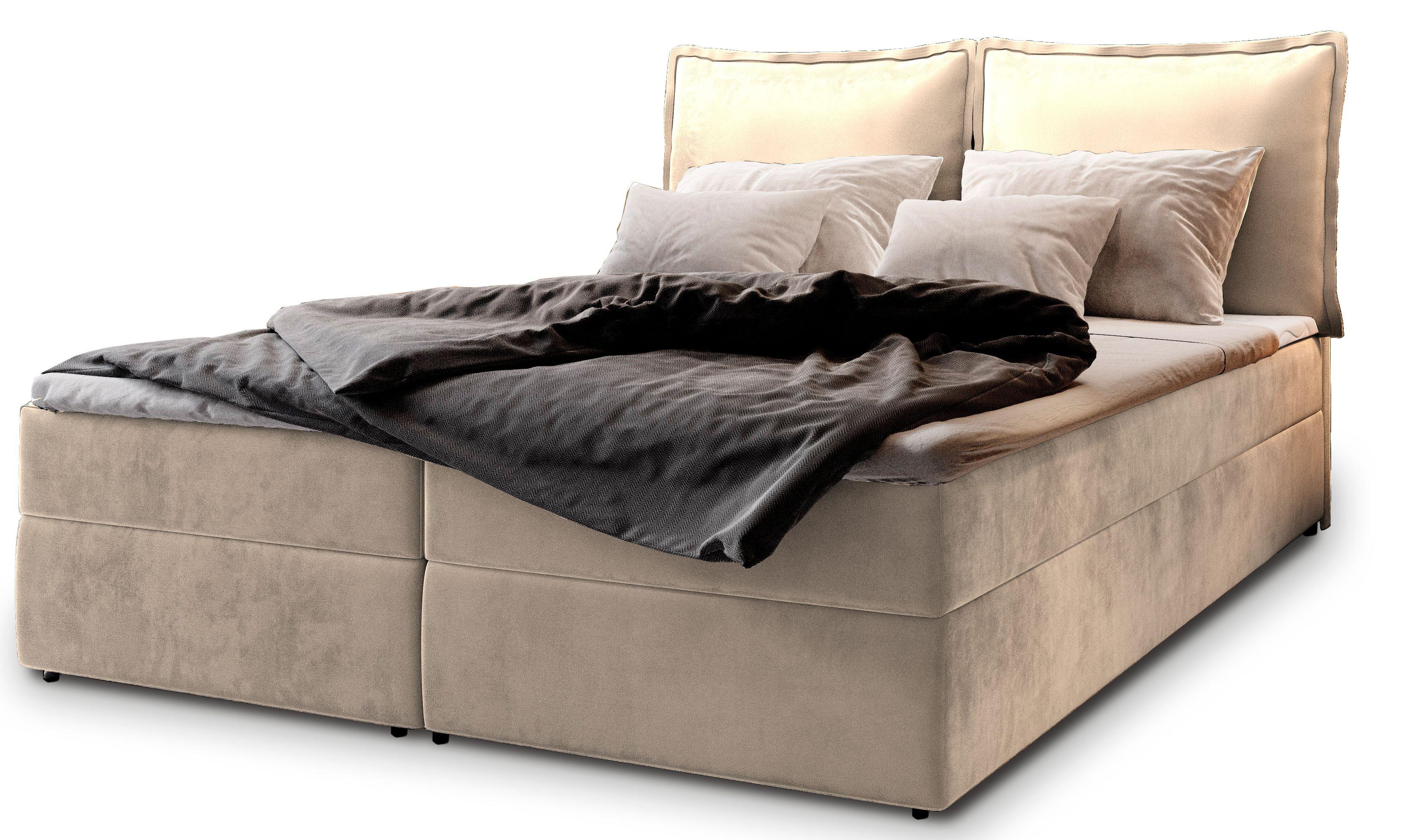 wohnli-moebel-suche-800001819133 Wohnli Möbelsuche - BOXBETT LENTE 160x200 cm mit Matratze und Topper - Creme