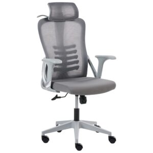 wohnli-moebel-suche-800001831040 Wohnli Möbelsuche - BÜROSTUHL Grau Ergonox