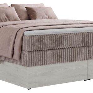 wohnli-moebel-suche-800001965690 Wohnli Möbelsuche - BOXSPRINGBETT NORDIC ZERO KING 200/200 - Hellbraun Cord - Topper T25 - H4