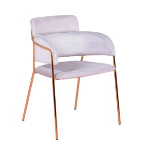 Wohnli Möbelsuche - Designerstuhl mit Samtbezug und goldenen Beinen