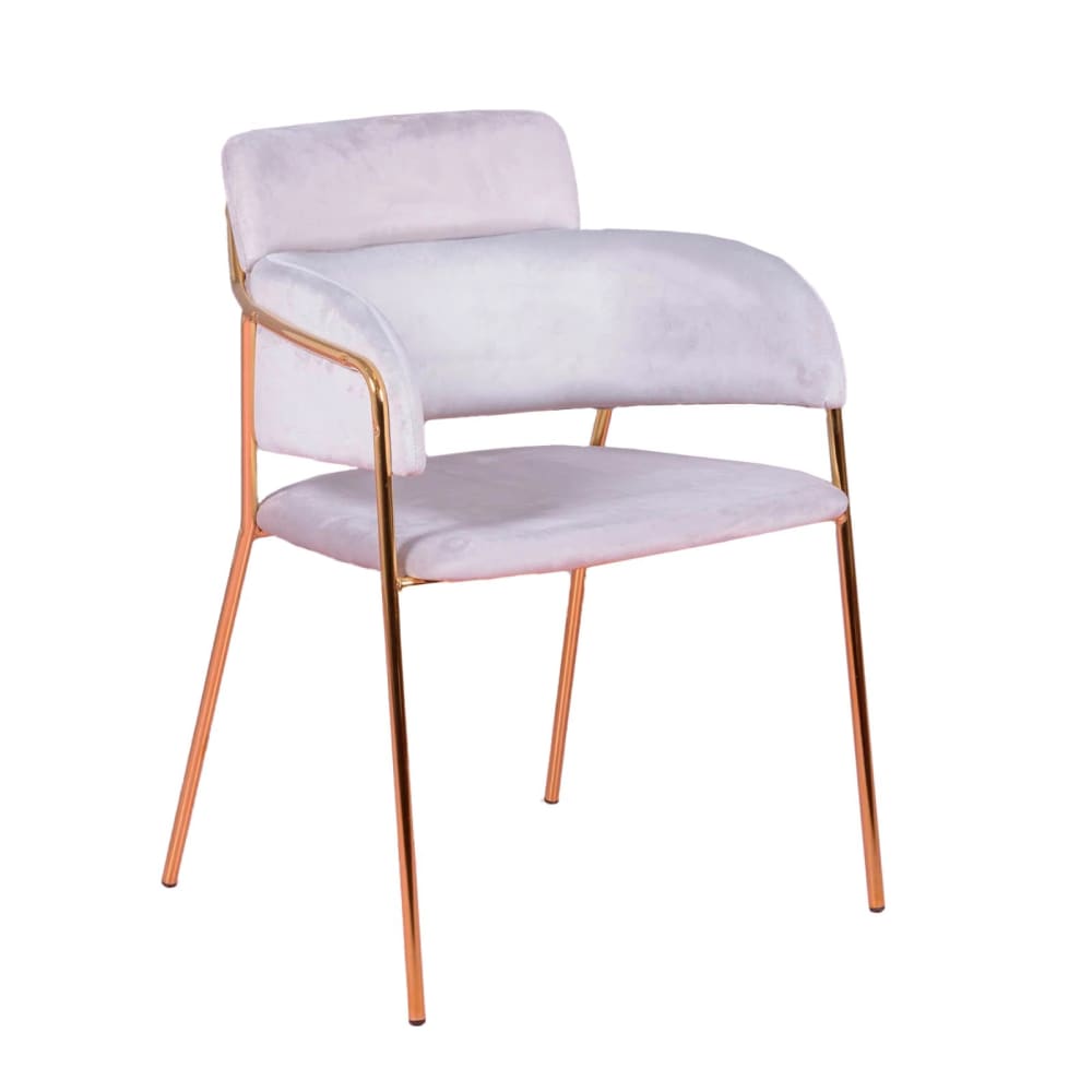 wohnli-moebel-suche-Designerstuhl-mit-Samtbezug-und-goldenen-Beinen-grau Wohnli Möbelsuche - Designerstuhl mit Samtbezug und goldenen Beinen