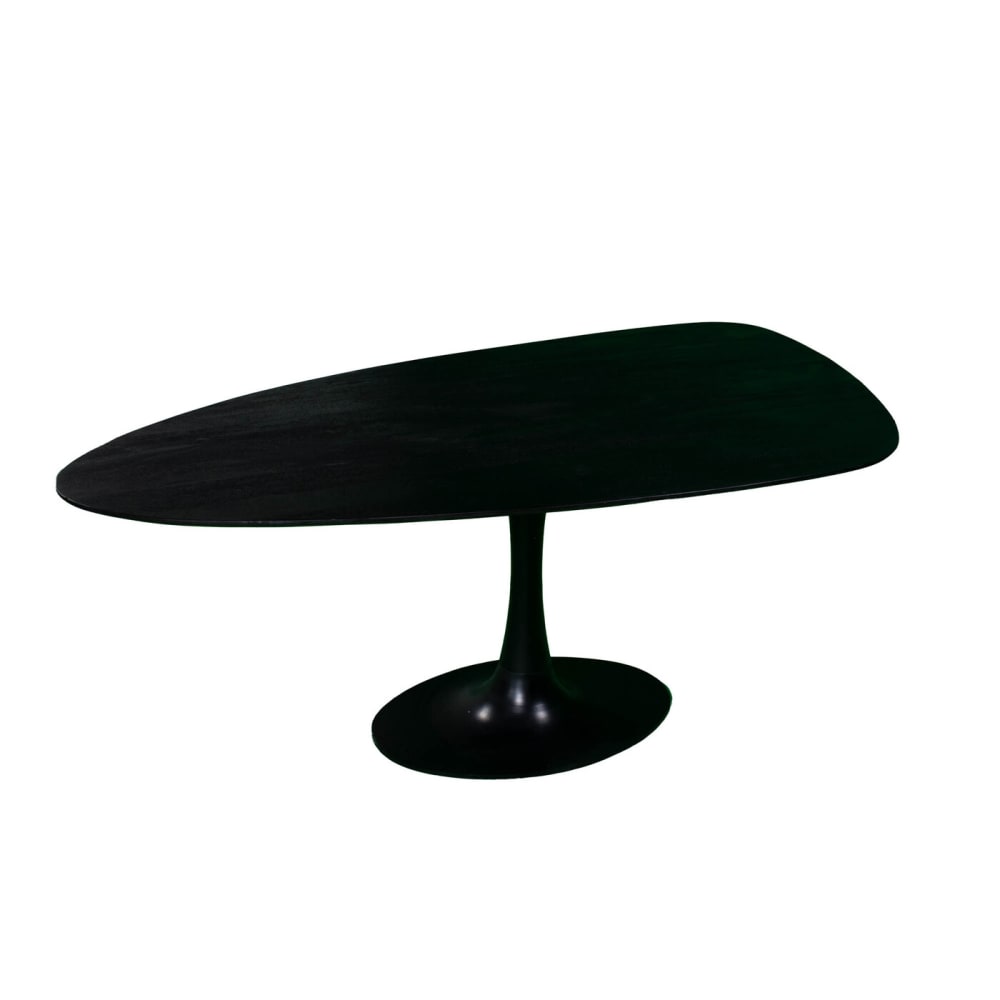 wohnli-moebel-suche-Dreieckiger-Esstisch-aus-Mangoholz-200x120cm-schwarz Wohnli Möbelsuche - Dreieckiger Esstisch aus Mangoholz 200x120cm