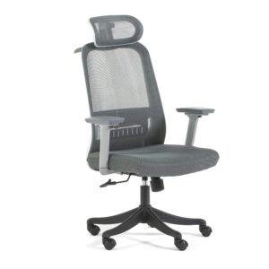 wohnli-moebel-suche-Ergonomischer-hoehenverstellbarer-Buerostuhl-mit-Rollen Wohnli Möbelsuche - Ergonomischer höhenverstellbarer Bürostuhl mit Rollen