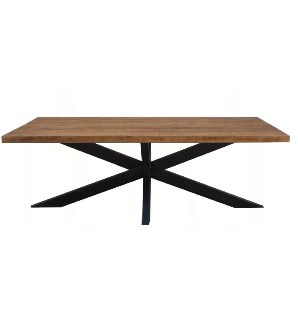 Wohnli Möbelsuche - Esstisch für 10/12 Personen L220