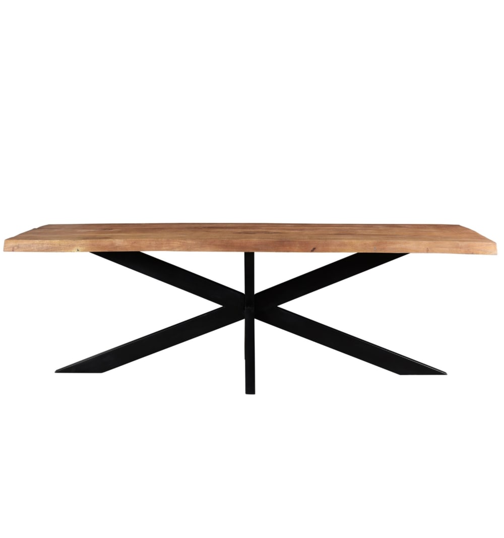 Wohnli Möbelsuche - Esstisch für 6/8 Personen L180