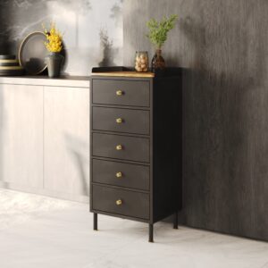 wohnli-moebel-suche-M21037383-1 Chiffonnier mit 5 Schubladen aus metallisiertem Grau und Mangoholz 47x102x36cm Metall Schwarz Maison Pavane Möbel Wohnzimmermöbel Aufbewahrungsmöbel