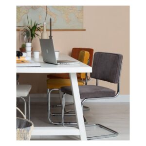 wohnli-moebel-suche-M21059060-1 Esszimmerstuhl aus Samt in Grau 48x85x48cm Samt Grau Zuiver Möbel Esszimmermöbel Stühle