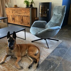 Drehsessel aus grauem Samt 83x100x92cm Samt Grau Mathi Design Sofas und Sessel Sessel, Poufs und Fußbänke Sessel