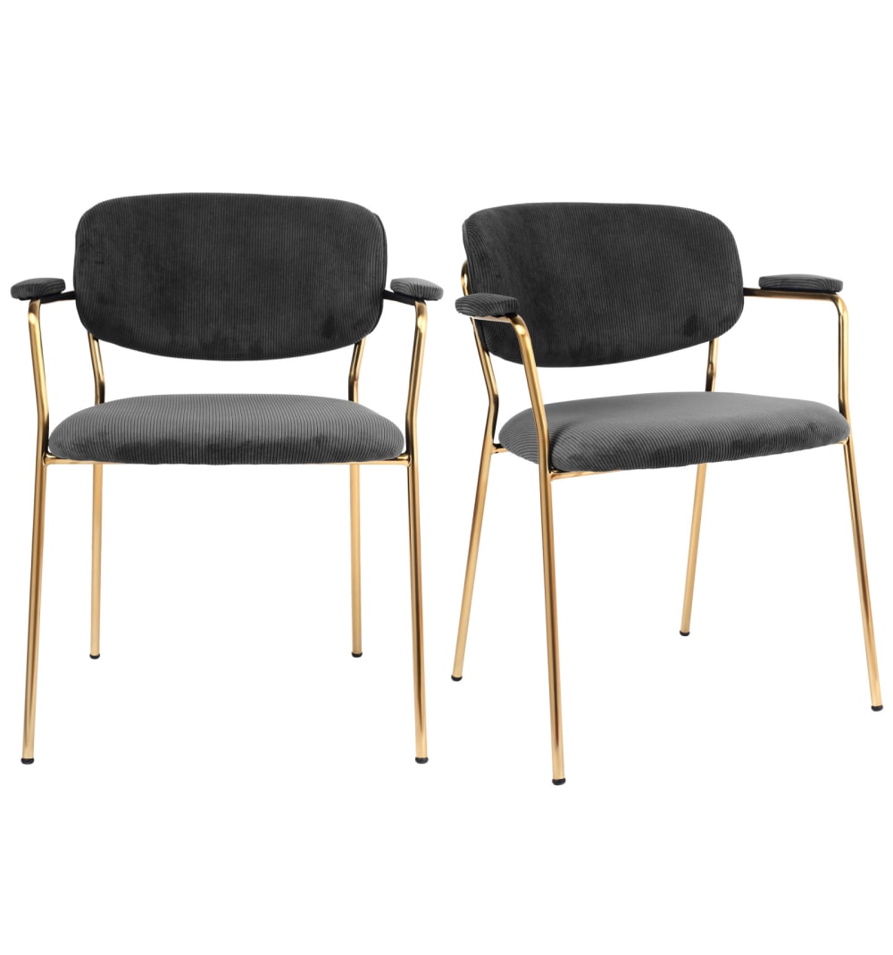 Wohnli Möbelsuche - 2er Set stuhl aus Carbon- Rippenstoff und gebürstetem Goldmetall