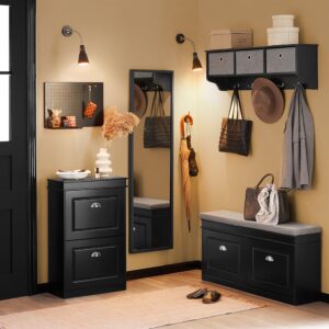 wohnli-moebel-suche-M23055941-1 Schuhschrank mit 2 Klappen schwarz Holzwerkstoff 53x82x24cm Spanplatte Schwarz SoBuy Möbel Flurmöbel Schuhschränke