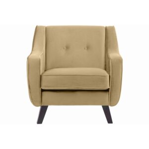 Wohnli Möbelsuche - Sessel mit Velours-Bezug