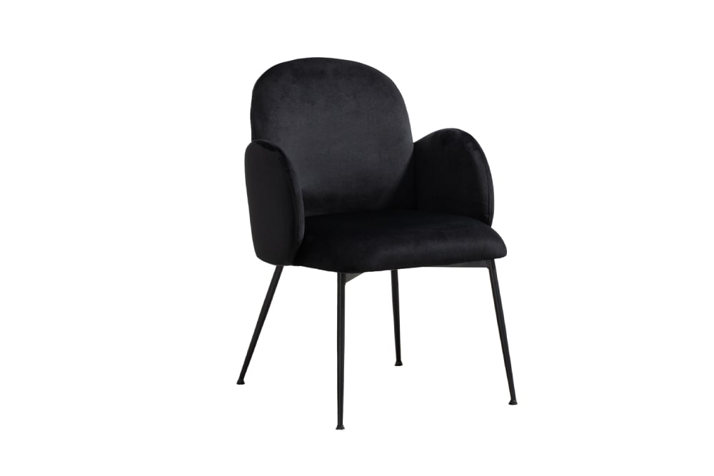 Wohnli Möbelsuche - Esszimmerstuhl aus Samt