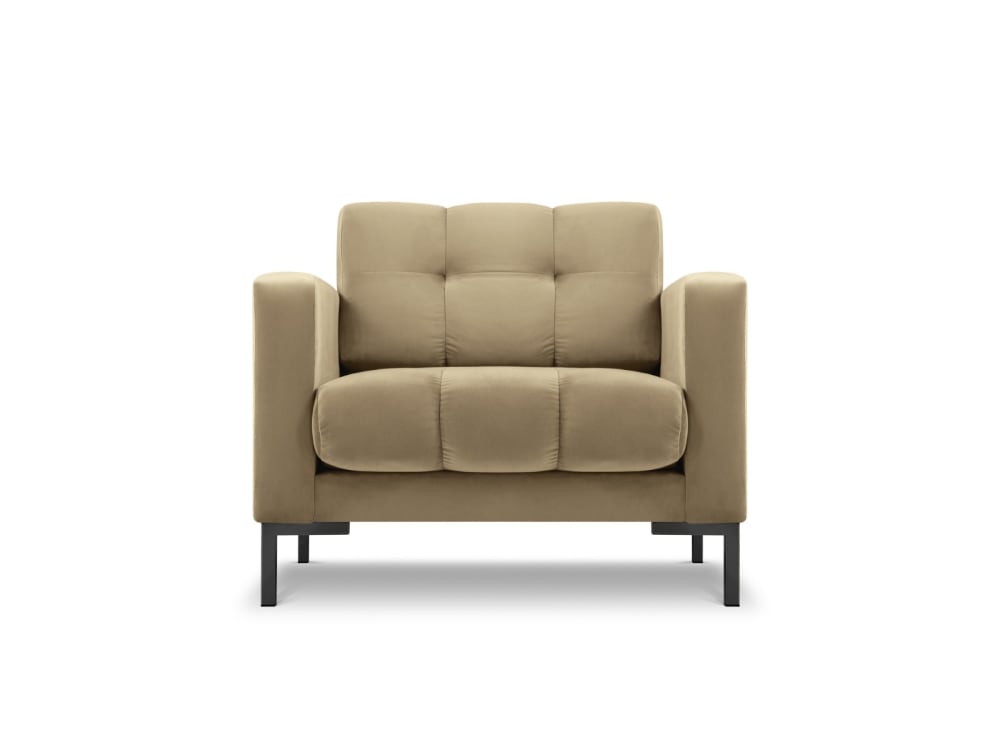 Wohnli Möbelsuche - Sessel aus Samt