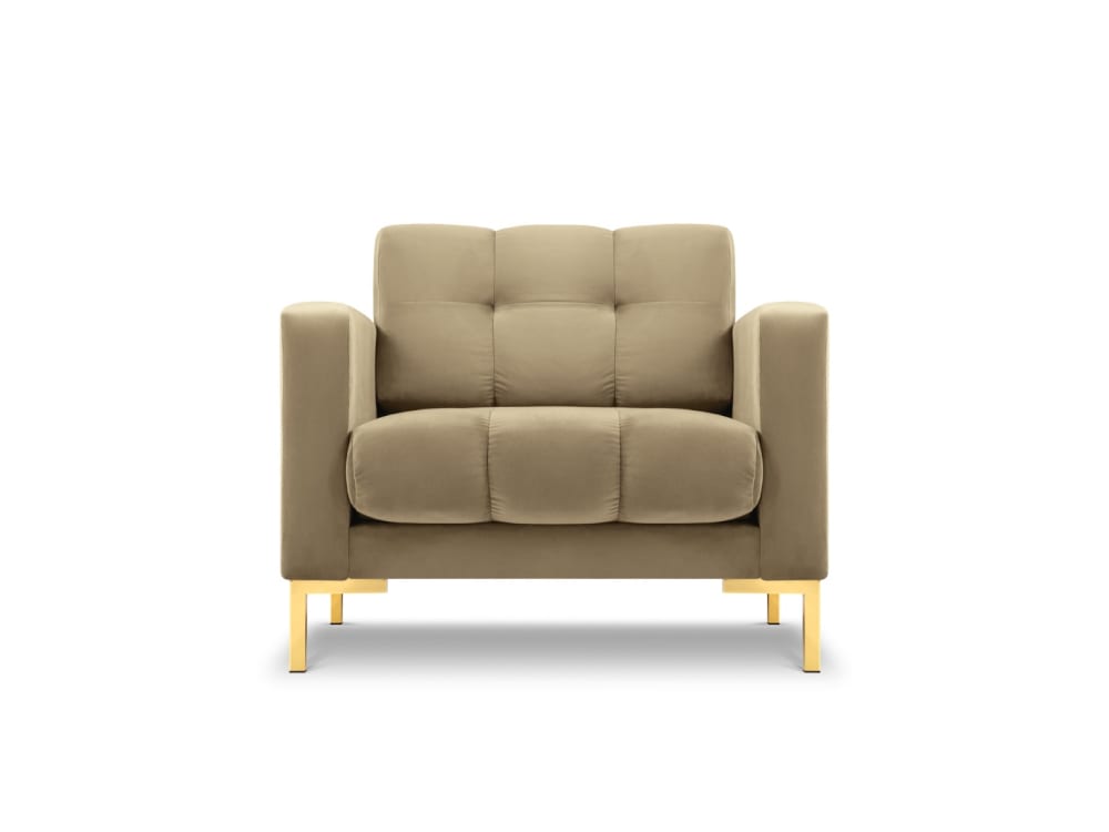 Wohnli Möbelsuche - Sessel aus Samt