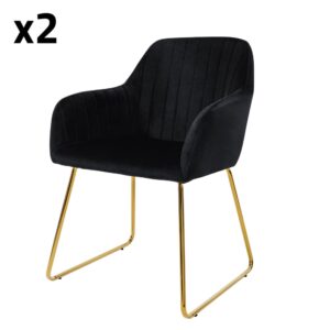 wohnli-moebel-suche-M24036037 Wohnli Möbelsuche - Esszimmerstühle 2er Set