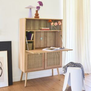 wohnli-moebel-suche-M24053217-1 2 Türen aus Rohrgeflecht