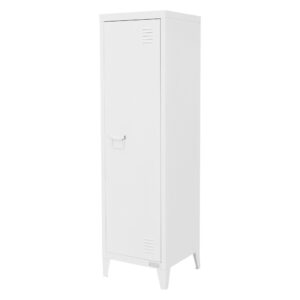 Wohnli Möbelsuche - Aktenschrank Metallschrank38x38x137