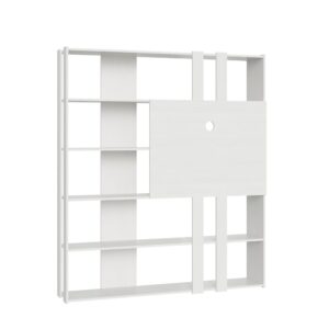 Wohnli Möbelsuche - Bücherregal mit TV-Paneel Esche weiß