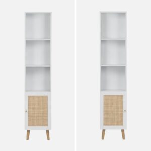 wohnli-moebel-suche-M24118878-1 3 Regale + 1 Tür