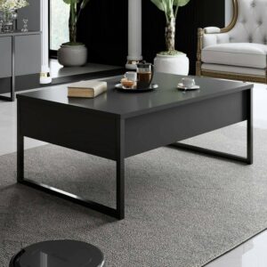 wohnli-moebel-suche-M24141203-1 schwarz 90x60 cm