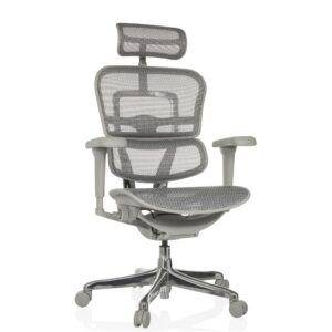 wohnli-moebel-suche-M25081659 Wohnli Möbelsuche - Luxus Chefsessel aus Netzstoff