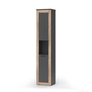 wohnli-moebel-suche-M25110703 Wohnli Möbelsuche - Hochschrank Anthrazit/Viking Oak 40x194.3cm